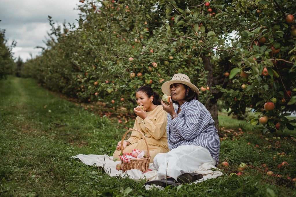 ethnic mother and daughter eating apples during picnic
