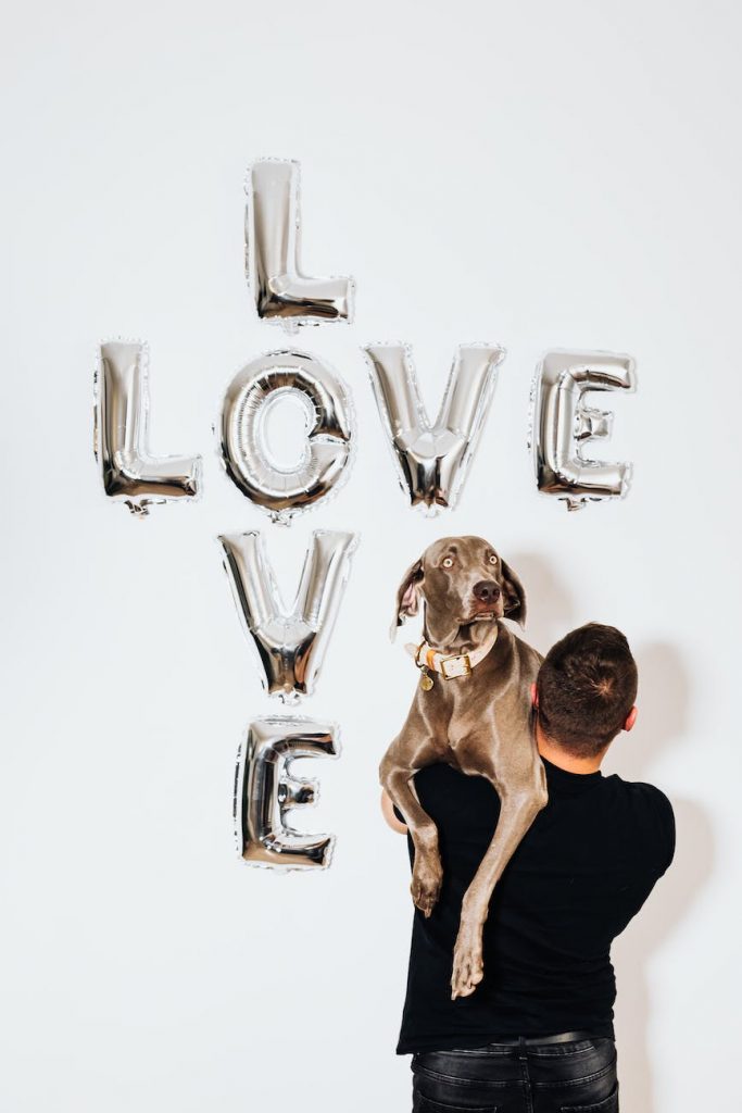 man carrying a dog near love balloons